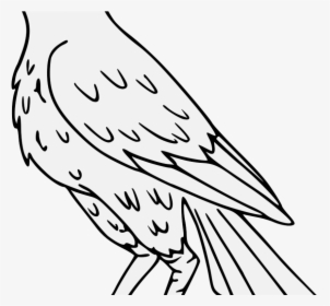 Falcon Drawing Png Clipart , Png Download - Falcon Black And White Clipart, Transparent Png, Transparent PNG