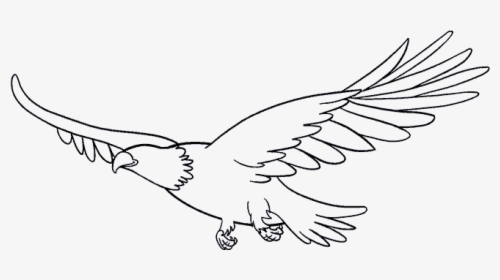 Antarctica Drawing Bird - Draw A Flying Eagle, HD Png Download, Transparent PNG