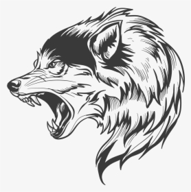Wolf Wolf Silhouette, Wolf Head Drawing, Wolf Clipart, - Transparent Wolf Vector Png, Png Download, Transparent PNG