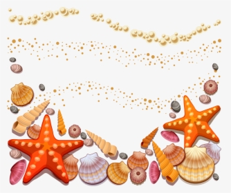 Shells On The Beach Clipart , Png Download - Sea Shells Vector Free, Transparent Png, Transparent PNG