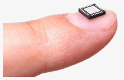 Microchip On Fingernail - Microchips Png, Transparent Png, Transparent PNG