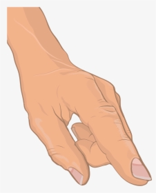 Anatomical Drawing Of Human Hand - Sketch, HD Png Download, Transparent PNG