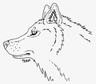 Wolf Line At - Wolf Head Line Drawing, HD Png Download, Transparent PNG