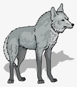 Wolf Gray Free Content Stockxchng Line Art Wildlife - Transparent Background Wolf Clipart, HD Png Download, Transparent PNG
