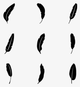 Feathers - Feather Free Vector, HD Png Download, Transparent PNG