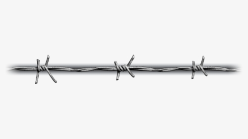 Barbed Wire, HD Png Download, Transparent PNG