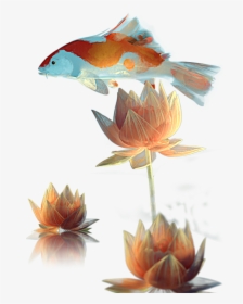 Magic Lotus Automaton - Water Lily, HD Png Download, Transparent PNG