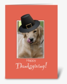 Funny Dog Thanksgiving, Humorous Greeting Card - Happy Birthday Golden Retriever Gif, HD Png Download, Transparent PNG