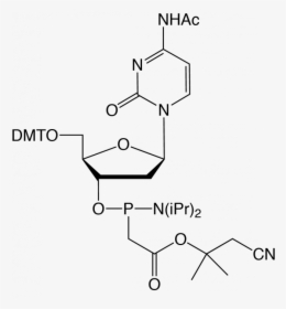 3 '- Deoxy 3 '- 18f Fluorothymidine, HD Png Download, Transparent PNG