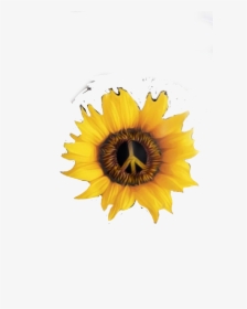 #peaceflower #peace #flower #hippie - Sunflower, HD Png Download, Transparent PNG