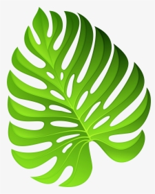 Exotic Green Plant Decoration Png Clipart Image - Png Clipart Plants Png, Transparent Png, Transparent PNG