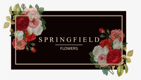 Springfield Flowers - Garden Roses, HD Png Download, Transparent PNG