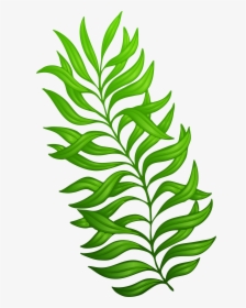 Clip Art Exotic Green Plant Png - Plant Clip Art Png, Transparent Png, Transparent PNG