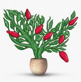 Usa Pepper - Lady Tulip, HD Png Download, Transparent PNG
