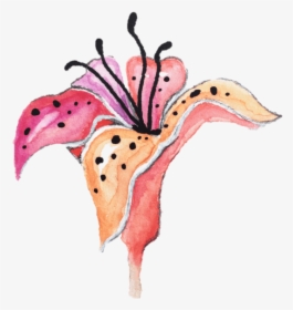 Watercolor Tiger Lily Clipart, HD Png Download, Transparent PNG
