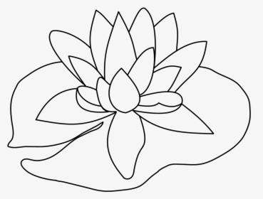 Lily Pad Flower Png Black And White - Lily Pad Drawing Easy, Transparent Png, Transparent PNG