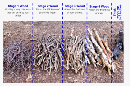 Transparent Wood Pile Png - Different Stages Of Wood, Png Download, Transparent PNG