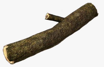 Firewood - Log Of Tree Png, Transparent Png, Transparent PNG