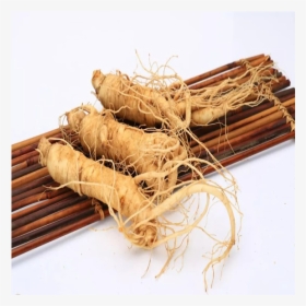 High Quality Natural Plant Ginseng Tincture - Welsh Onion, HD Png Download, Transparent PNG