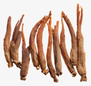 Red Ginseng Root, HD Png Download, Transparent PNG