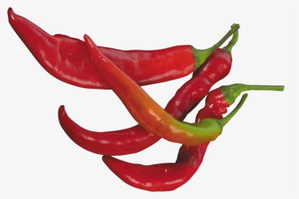 Red Chilli Pepper - Chili Peppers Transparent Background, HD Png Download, Transparent PNG