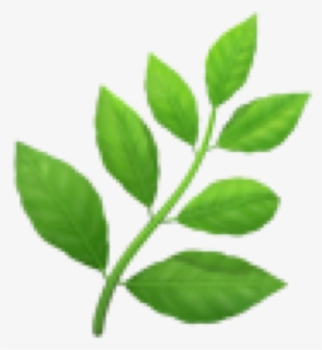 Leaves Emoji Emoticon Iphone Iphoneemo - Herb Emoji Transparent, HD Png Download, Transparent PNG