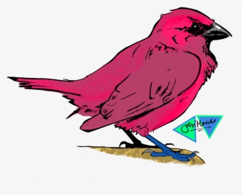 Km Toons Pink Sparrow - Pink Sparrow, HD Png Download, Transparent PNG