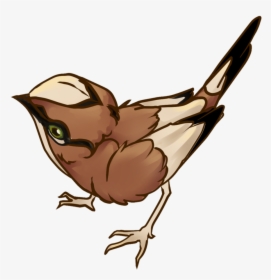 Hummingbird Clipart Sparrow - Perching Bird, HD Png Download, Transparent PNG