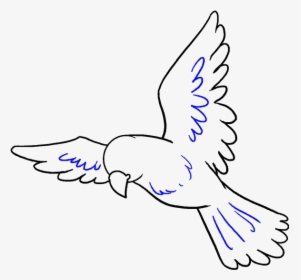 How To Draw A Bird Easy Step - Bird Drawing Easy, HD Png Download, Transparent PNG