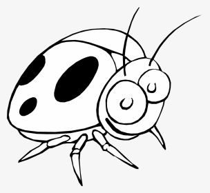 Amuse Cartoon Black And White Smiling Ladybug Tattoo - Black And White Insect Clipart Vector, HD Png Download, Transparent PNG