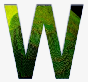 3d Letters W, HD Png Download, Transparent PNG