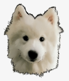 Canadian Eskimo Dog, HD Png Download, Transparent PNG