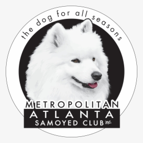 Metropolitan Atlanta Samoyed Club - Japanese Spitz, HD Png Download, Transparent PNG