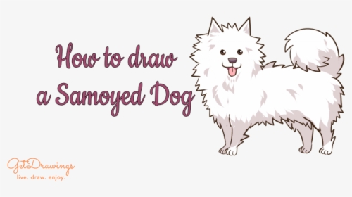 German Spitz Mittel, HD Png Download, Transparent PNG