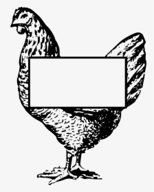 Transparent Chicken Clipart Png - Chicken Frame Border Black And White, Png Download, Transparent PNG