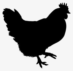 Transparent Year Of The Rooster Clipart - Chicken Clip Art Black, HD Png Download, Transparent PNG