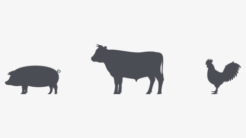 19 Cows Clip Black And White Chicken Huge Freebie Download - Pig Cow Chicken Silhouette, HD Png Download, Transparent PNG