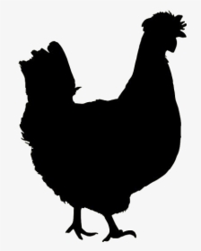 Chicken Png Free Clipart - Chicken Silhouette Color, Transparent Png, Transparent PNG