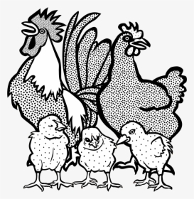 Drawing Rooster Clip Art, HD Png Download, Transparent PNG