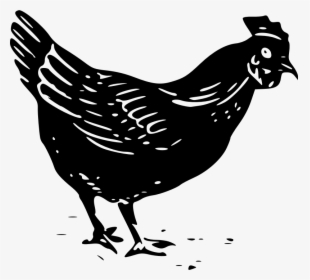 Hay Clipart Chicken - Black And White Chicken Clip Art, HD Png Download, Transparent PNG