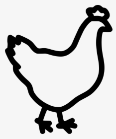 Hen Bird Poultry Chicken Comments - Poultry Icon, HD Png Download, Transparent PNG