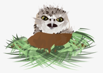 Clip Art Cartoon Dirt Hole - Drawing Burrowing Owl, HD Png Download, Transparent PNG