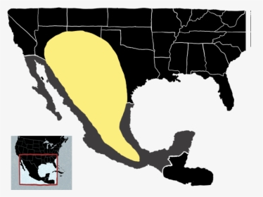 D3js Map Path, HD Png Download, Transparent PNG