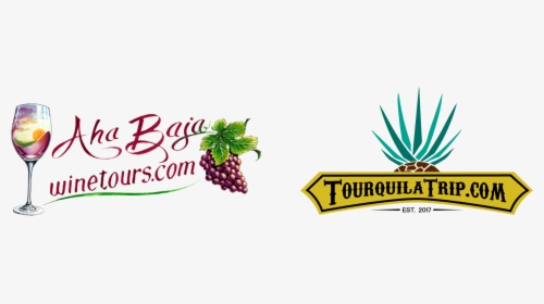 Aha Baja Wine Tours - Seedless Fruit, HD Png Download, Transparent PNG