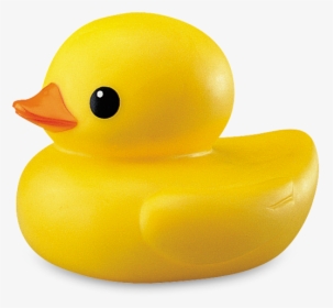 Yellow Duck Png Picture - Transparent Background Duck Png, Png Download, Transparent PNG