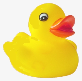 Duck Png Pic - Rubber Duck Transparent Background, Png Download, Transparent PNG