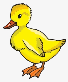 Duckling Clipart, HD Png Download, Transparent PNG
