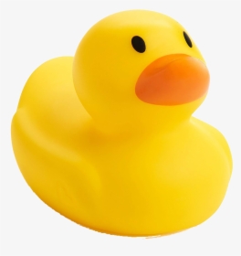 Rubber Duck Png Photo - Rubber Duck Png Transparent, Png Download, Transparent PNG