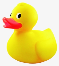 Yellow Rubber Duck Transparent, HD Png Download, Transparent PNG