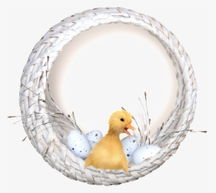 Small Yellow Duck Png Transparent In The Basket - Portable Network Graphics, Png Download, Transparent PNG